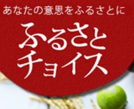 ふるさとチョイスTOSAワイン富士の夢 ふるさとチョイスTOSAワイン富士の夢